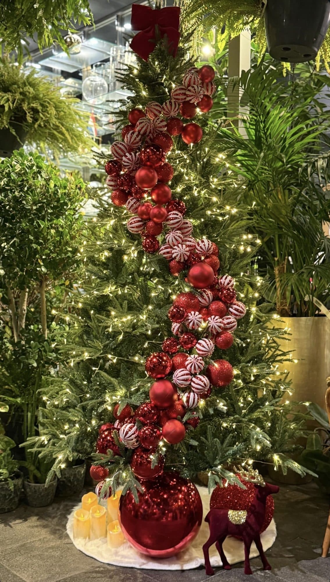 Lit tree with a spiral of red and peppermint-striped baubles, a large red bauble and a velvet reindeer at its base, surrounded by greenery
